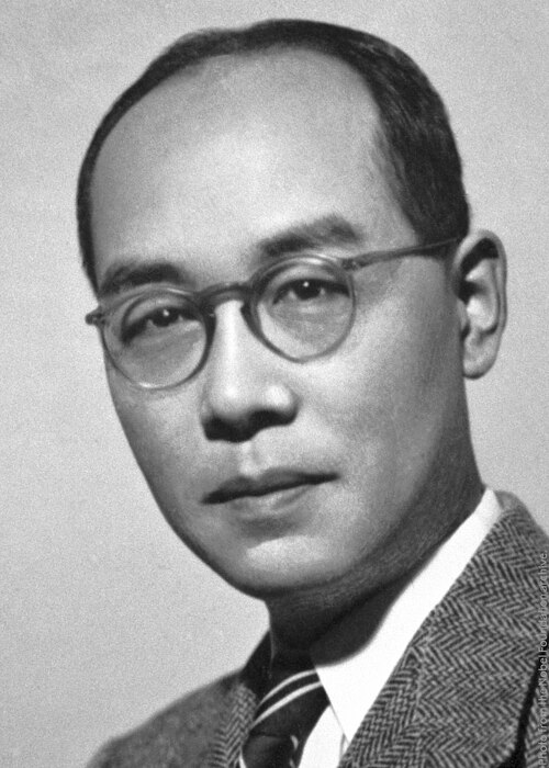 Yukawa Hideki